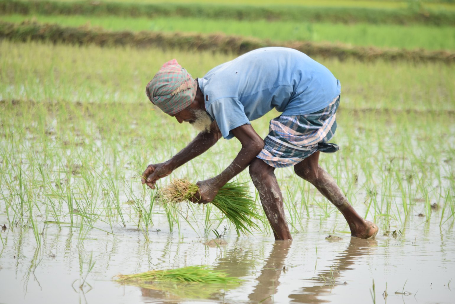South Asia and development