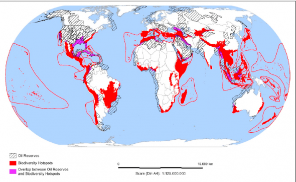 How to keep unburnable fossil fuel reserves in the soil