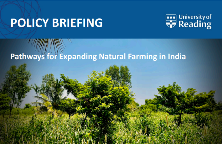 Reading research identifies pathways for sustainable natural farming: India