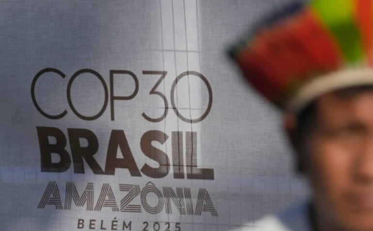 LSE awards and project news