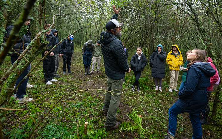What are green skills, and how can you develop them at university?